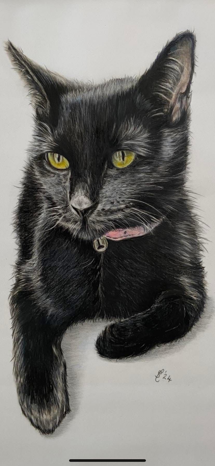 Coloured pencil portrait of a black cat with yellow eyes