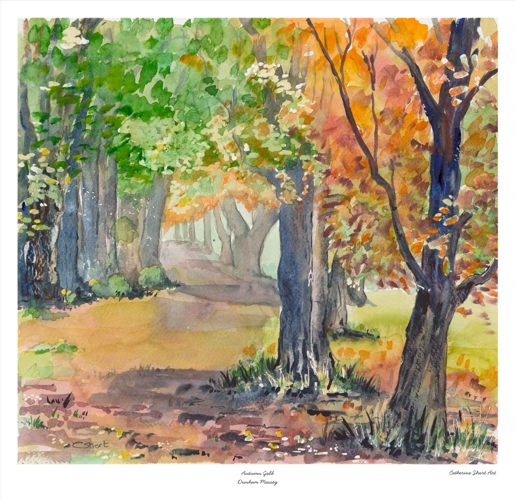 Autumn Gold
