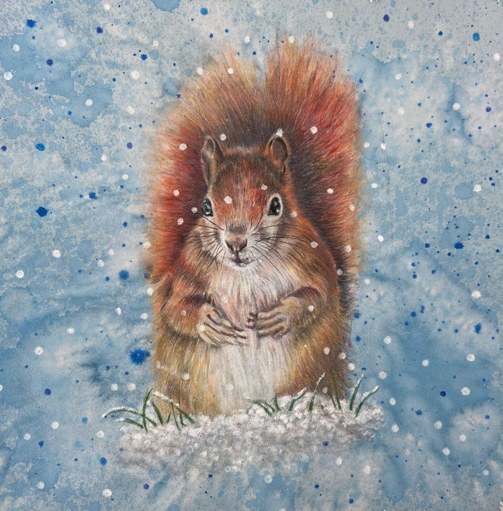 Coloured pencil portrait of a red squirrel in snow